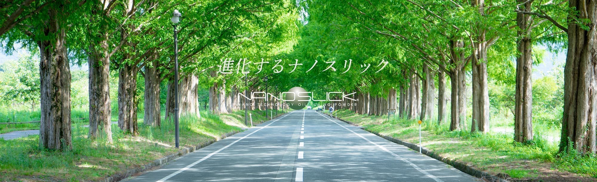 道路　ナノスリック